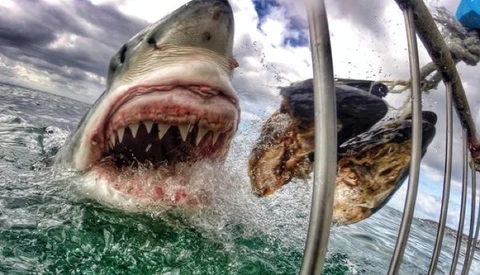 How an Elementary School Teacher Took the Most Popular Viral GoPro Photo To Date