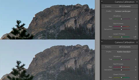 Restore that "Back of the Camera" Look in Adobe Lightroom 5