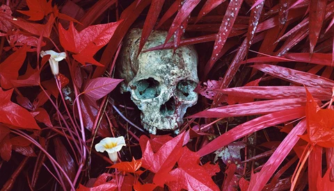 Humanitarian Conflict Beautifully Captured On Kodak Aerochrome Film