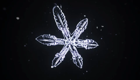 snowflake forming timelapse