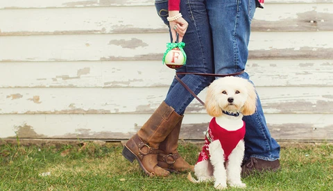 Can't Take a Holiday this Holiday Season?