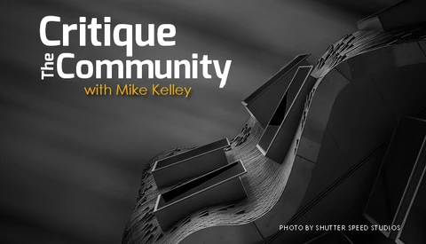 Critique The Community:  Architecture Edition with Mike Kelley