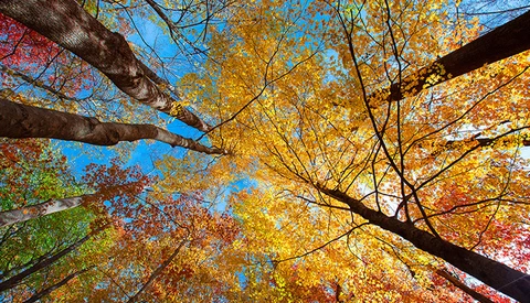 'More Than Just Parks' Aims To Create Short Films From All 59 National Parks
