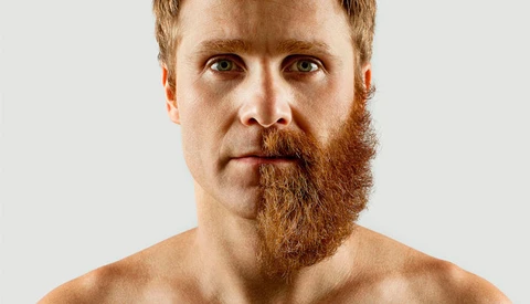 The Greatest Beard Montage We've Ever Seen