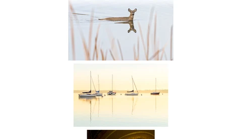 'I Hardly Know Her' Is a Minimalist Flickr Photostream Viewer