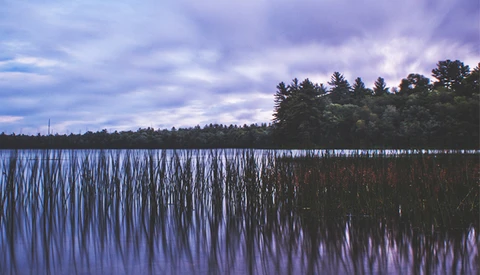 5 Simple Ways to Become a Better Photographer