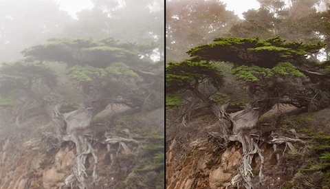 Adobe Shows Off Dehaze Tool in Upcoming Lightroom Update