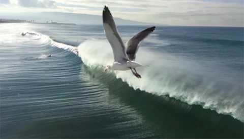 Seven Stunning Films Added to Apple's iPhone 6 World Gallery Collection Worth Checking Out