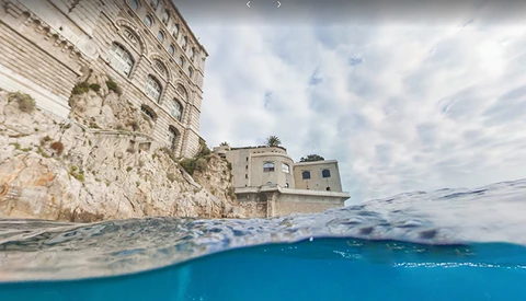 Google Shares Incredible Underwater Journeys with Street View Oceans
