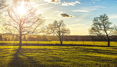 Working with What You’ve Got to Better Your Photography