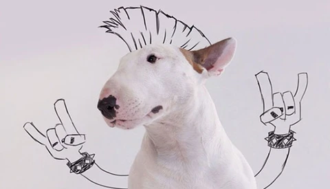 Husband Starts Amazing Photo Series after Wife Leaves Him with Nothing but the Dog