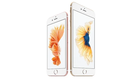 Apple is Leading the March to Destroy the Point-and-Shoot
