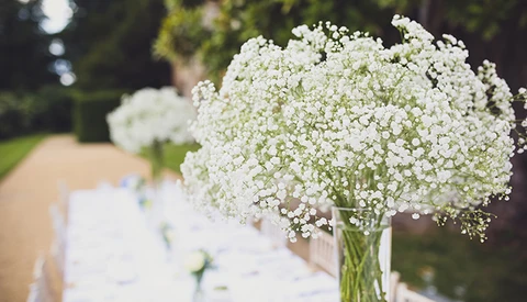 Should Wedding Photographers Sign Insulting General Release Waivers?