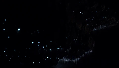 Canon's New Ultra-Sensitive Camera Shows Incredible Video of the Milky Way and an Awesome Glowworm Cave