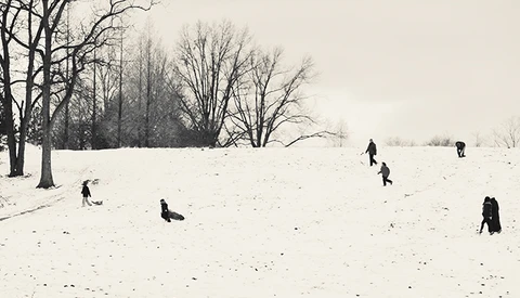 Is Photography the Cheapest Art?