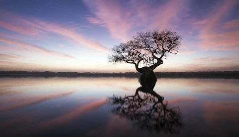 Mac Stone Discusses His Conservation Photography at the Everglades