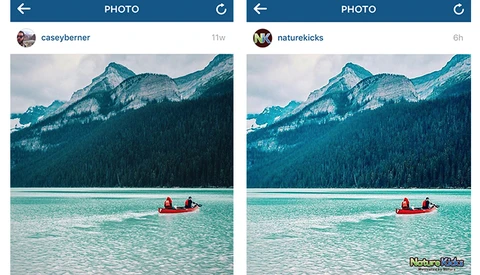 Can Someone Repost Your Images on Instagram Without Asking?