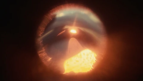 Simple Beauty Trumps All in New iPhone-Shot Short That Reminds Us 4K Isn't Everything