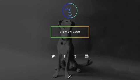 VSCO Jumps Into the GIF Game With DSCO