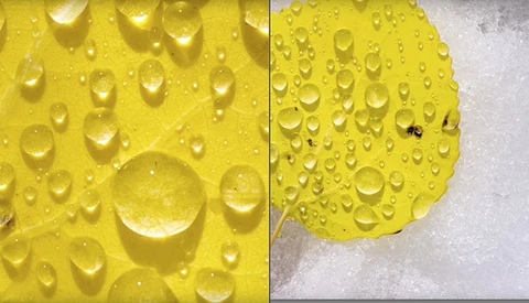 Photographer Compares Two Canon Pro DSLRs: One From 2015, One From 1998