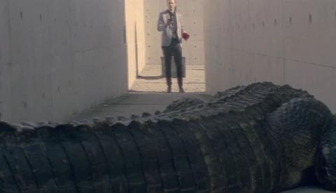 'Connectivity Lost': An Analog Short Film About the Digital Age