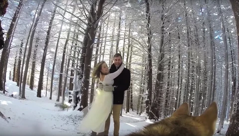 Couple Asks Their Dog to Film Their Wedding Day