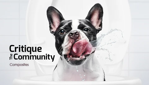 Critique the Community Episode 13: Composite Photography 