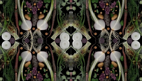 Photographers Create Imagery With Scanned Seasonal Produce