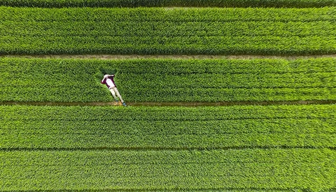 The Best of Drone Photography in 2015