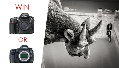 Win a Canon 5D MK III or Nikon D800 in This Free Photo Contest!