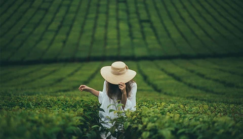 Creative Spotlight: Meet the Photographer That Conceals His Subject’s Identities