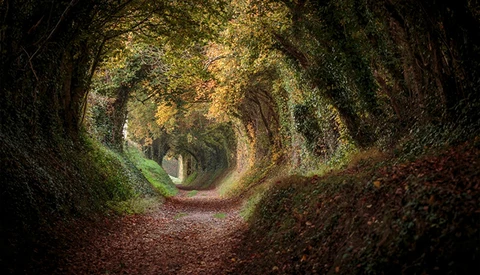 Nature Photo Contest: Win a Canon 5D MK III or Nikon D800