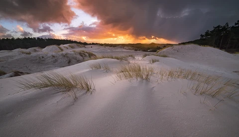 The Real Versus the Beautiful (Part 2): The Power of the Processed Image