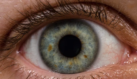 The Resolution of the Human Eye
