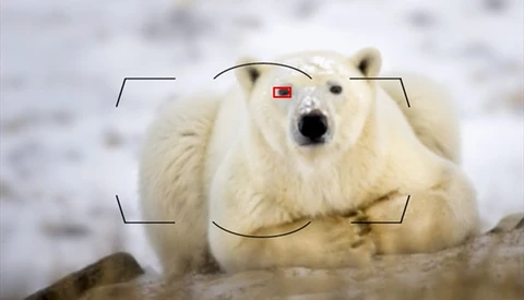 I Got 99 Problems, But Autofocus Ain't One