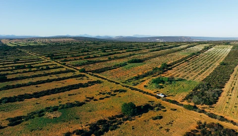 An Untapped Market: Agricultural Aerial Photography