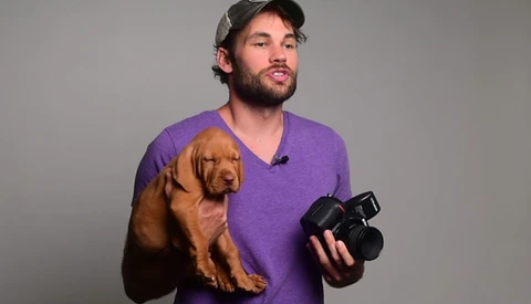 How To Photograph A Puppy In The Studio