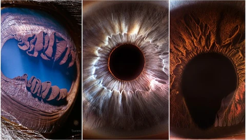 Suren Manvelyan: The Person Behind ‘Your Beautiful Eyes’ Extreme Macro Photography