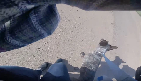 GoPro Records Woman Stealing Drone and Falsely Claiming It 'Almost Killed' Her