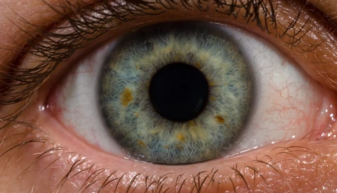 Science Shows Your Eyes Are Better Than Your Camera at Detecting Light