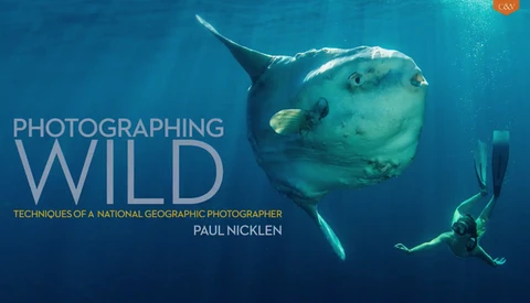 Paul Nicklen's New Book, 'Photographing Wild': Learn From a National Geographic Photographer