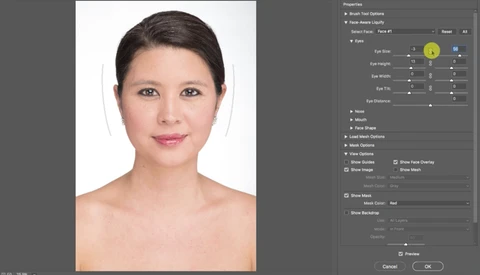Adobe Updates Photoshop's Face-Aware Liquify Feature