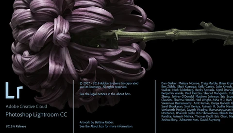 Save 25% On Your Adobe Creative Cloud Subscription Plan