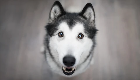 How To Help Someone That Is New To Photography Become An Amazing Photographer