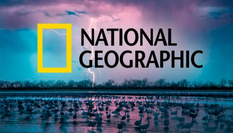 National Geographic's Best 52 Photos of 2016