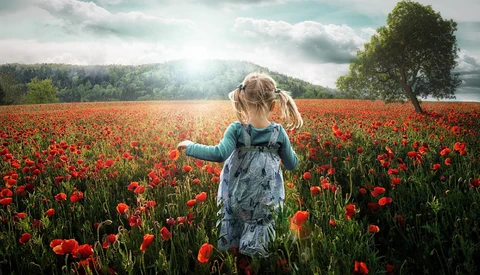 500px Launches Worldwide Photographer Listings Called 'Directory' and Announces Partnership with Adobe Stock