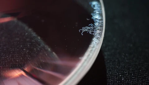 How to Clean Fungus From a Lens