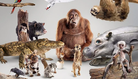 'Spy in the Wild', a New BBC Series uses Animatronic Animals Rigged with Cameras to Film Wildlife