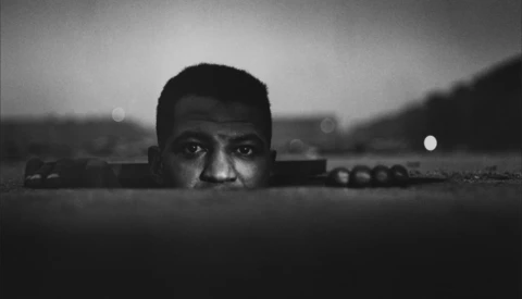 Using Low Camera Angles to Create More Dramatic Images