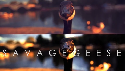 Copyright Catastrophe: Philip Bloom Finds His Footage in Opening Title Sequence